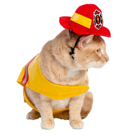 firefighter cat costume|More.